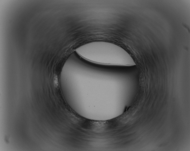 X0000093360089200710111316