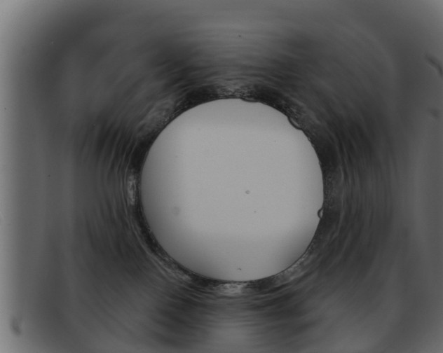 X0000093360090200710111316