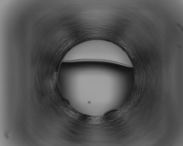 X0000093360093200710111316