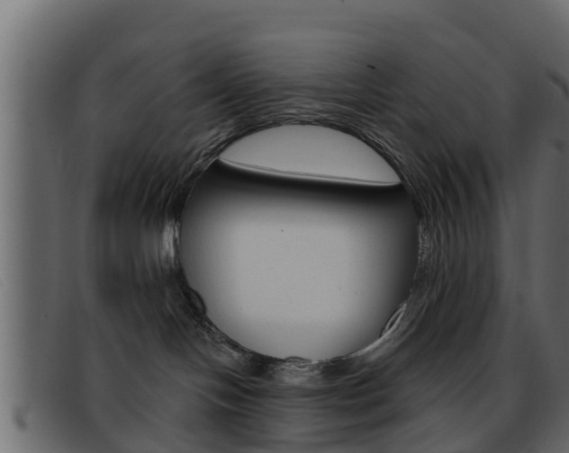 X0000093360094200710111316