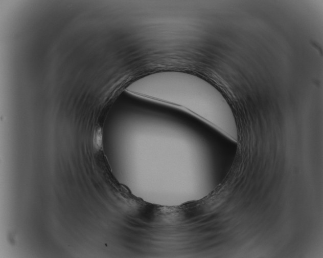X0000093360095200710111316