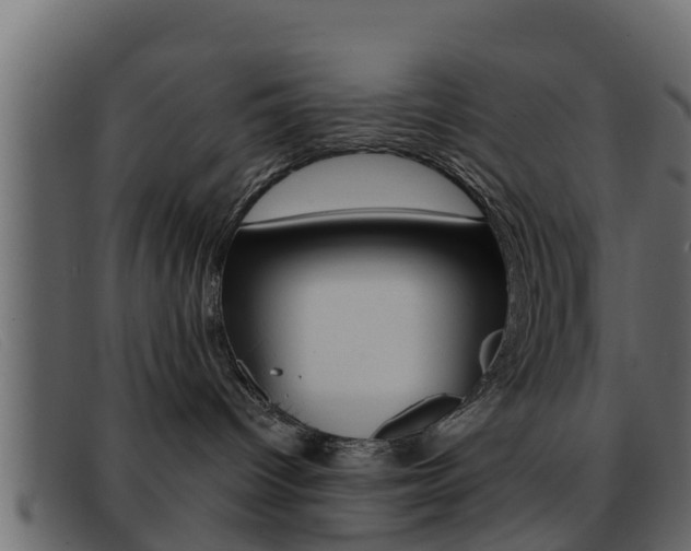 X0000093360096200710111316