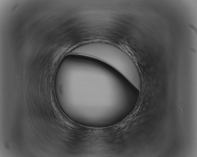 X0000093360097200710111316