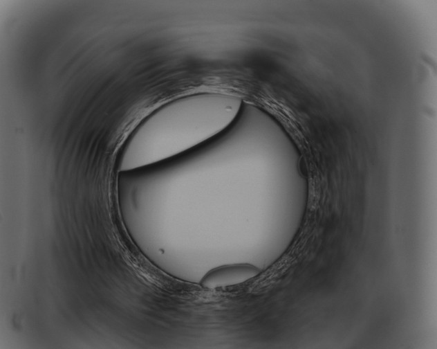 X0000093360098200710111316