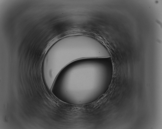 X0000093360099200710111316