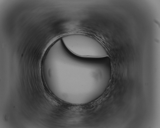 X0000093360100200710111316
