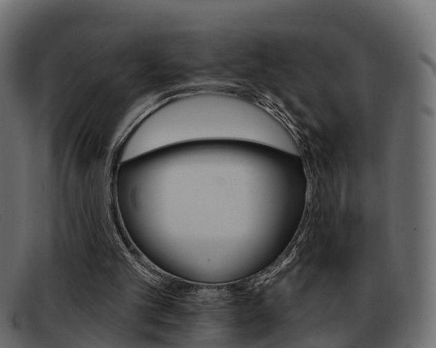 X0000093360101200710111316