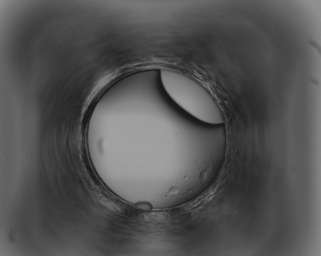 X0000093360102200710111316
