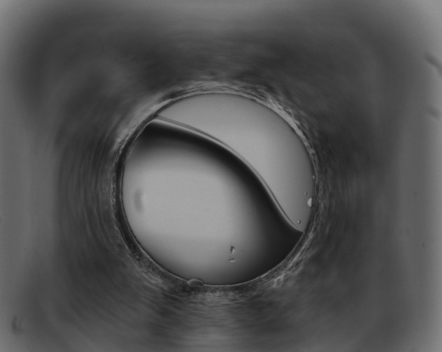 X0000093360103200710111316