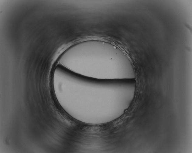 X0000093360104200710111316