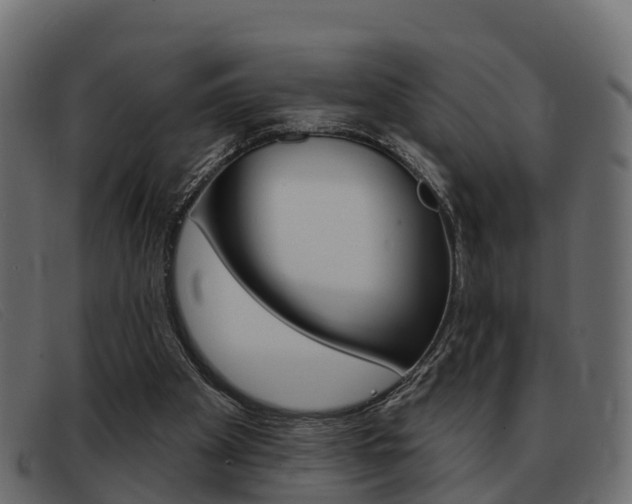 X0000093360105200710111316
