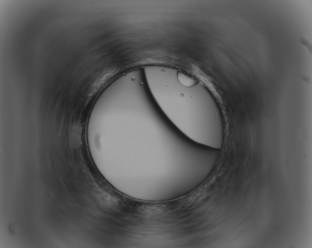 X0000093360106200710111316