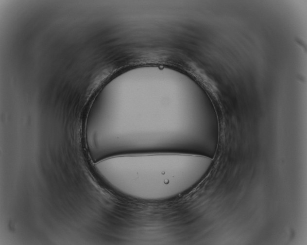 X0000093360107200710111316