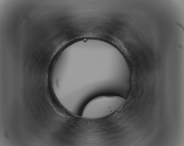 X0000093360108200710111316