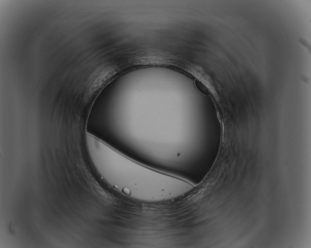 X0000093360109200710111316