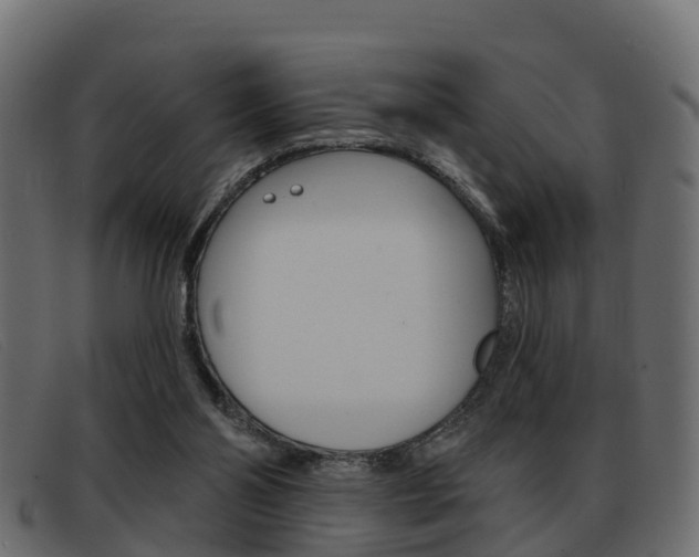 X0000093360110200710111315