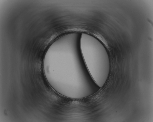 X0000093360111200710111315