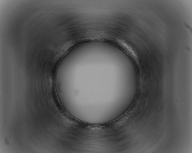 X0000093360113200710111315