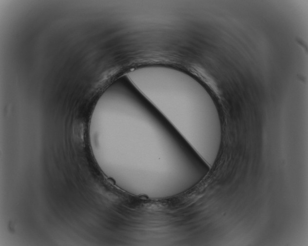 X0000093360115200710111315