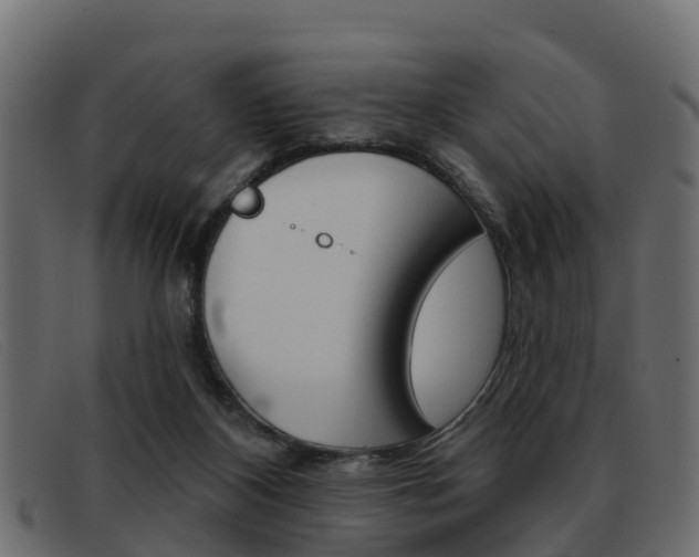 X0000093360116200710111315
