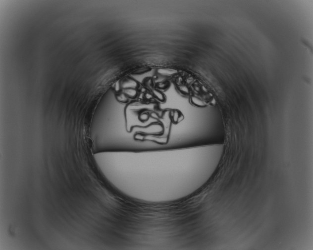 X0000093360117200710111315