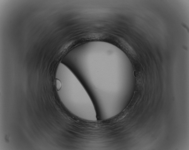 X0000093360119200710111315