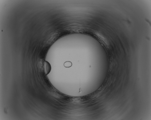 X0000093360121200710111315