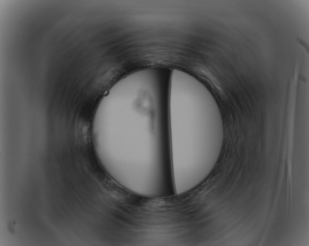X0000093360123200710111315