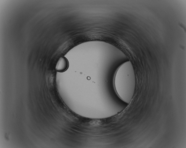 X0000093360124200710111315