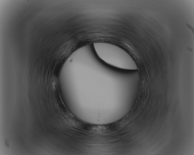 X0000093360125200710111315