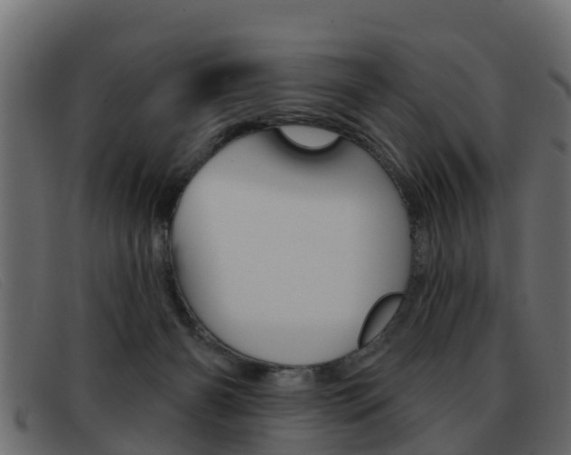 X0000093360126200710111315