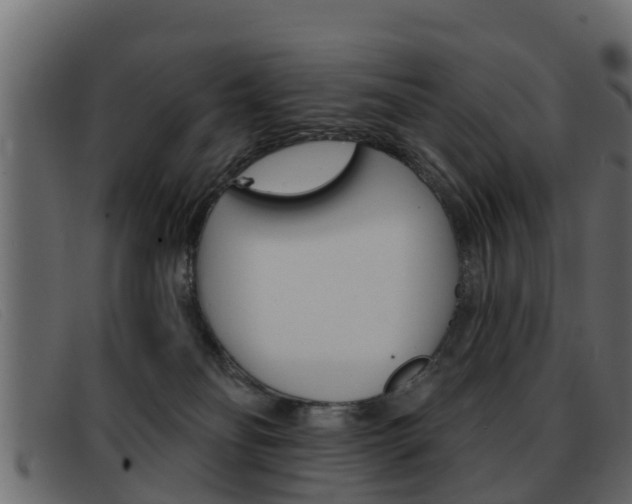 X0000093360134200710111315