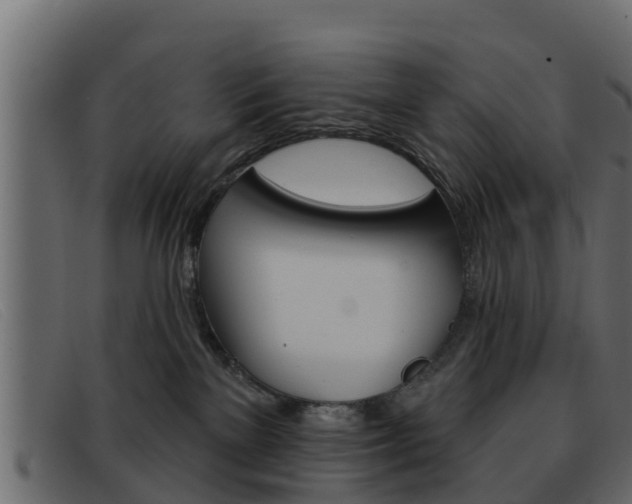 X0000093360137200710111315