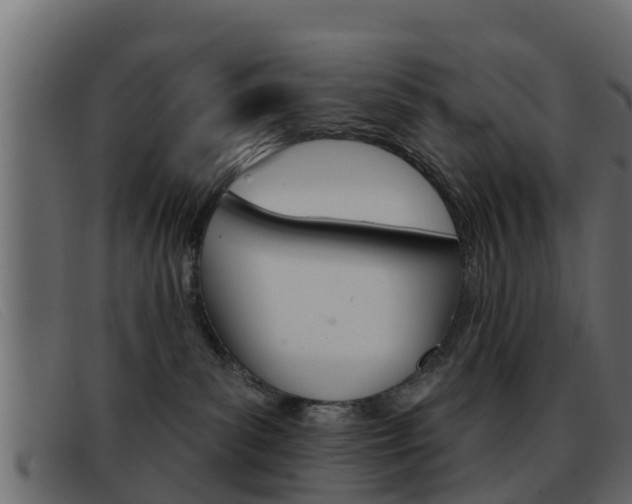 X0000093360139200710111315