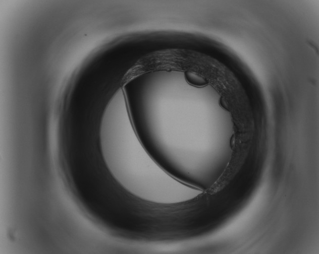 X0000093360143200710111315