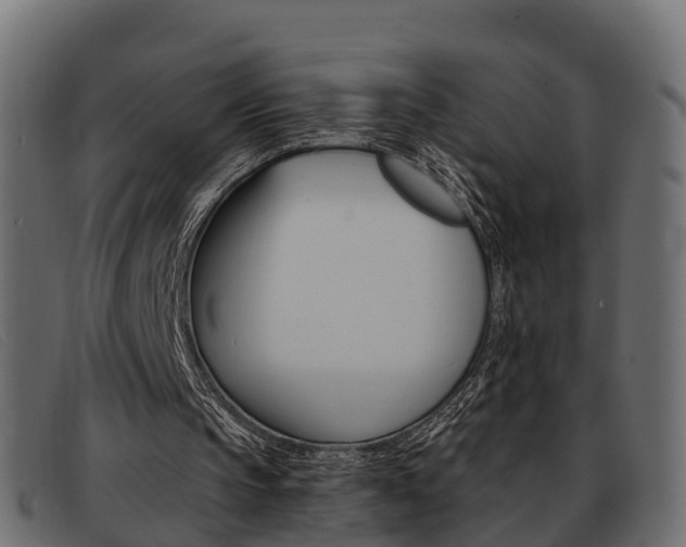X0000093360145200710111315