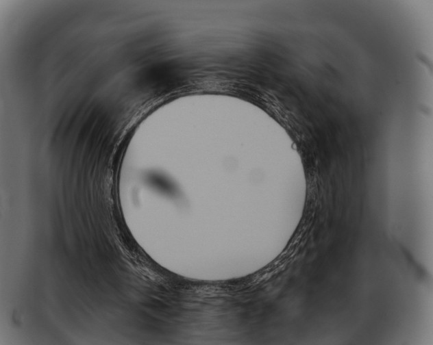 X0000093360146200710111315