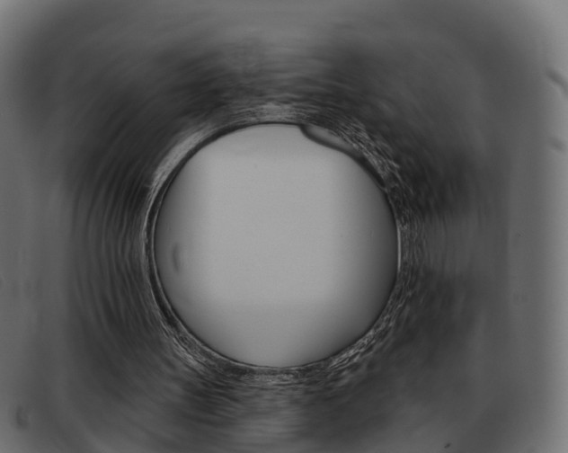 X0000093360147200710111315