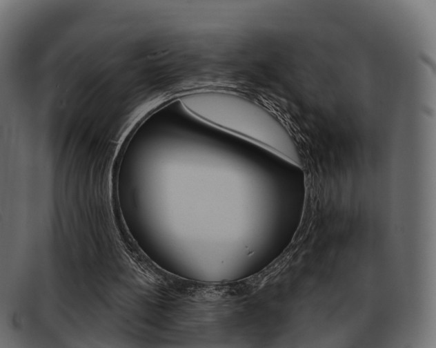 X0000093360148200710111315