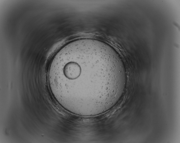 X0000093360149200710111315