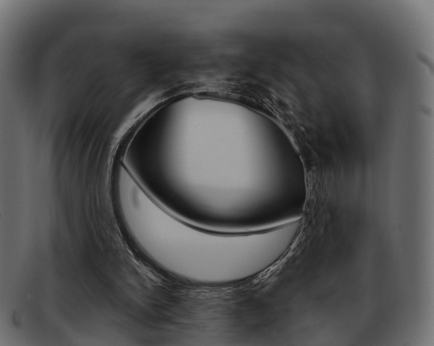 X0000093360150200710111315