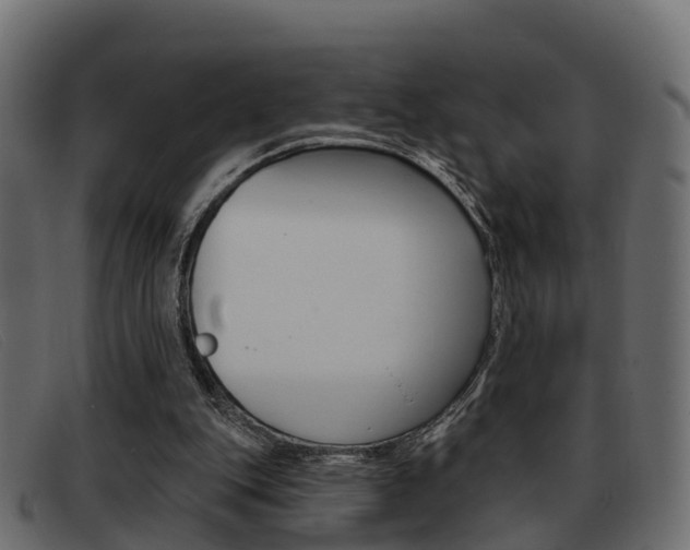X0000093360151200710111315