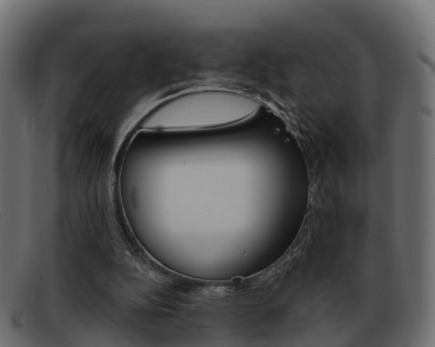 X0000093360152200710111315