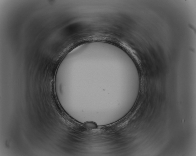 X0000093360153200710111315