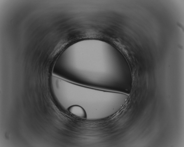 X0000093360154200710111315