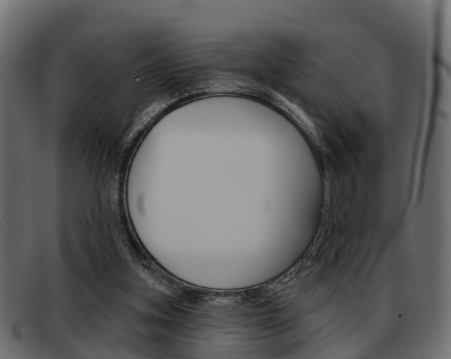 X0000093360155200710111315
