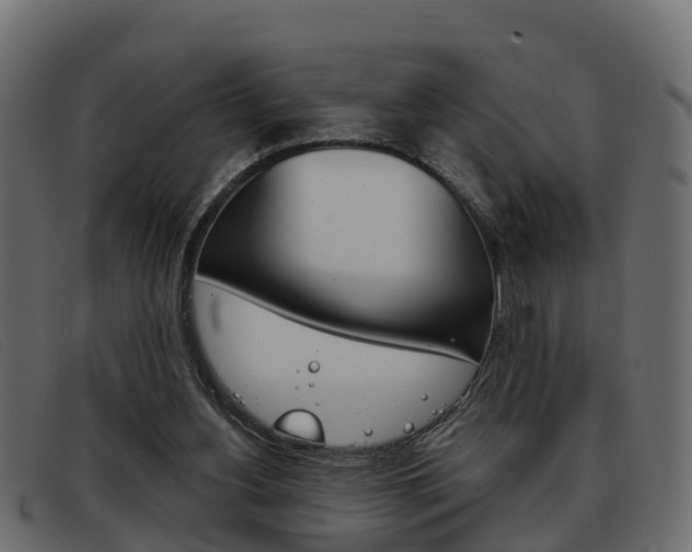 X0000093360156200710111315