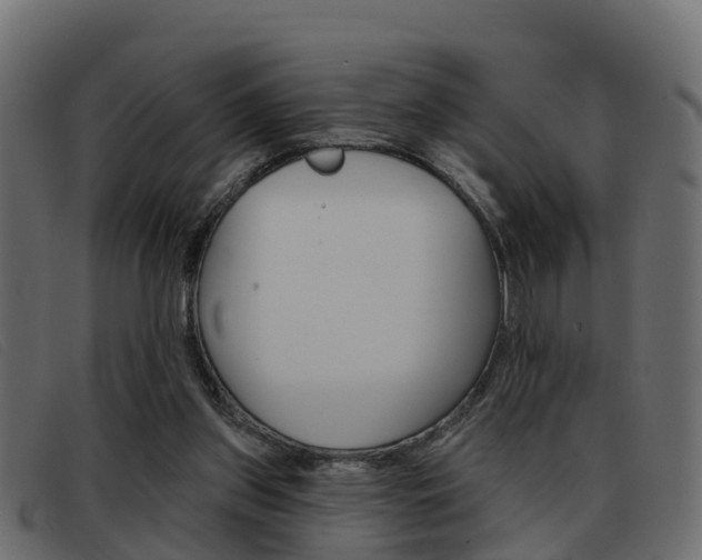 X0000093360157200710111315