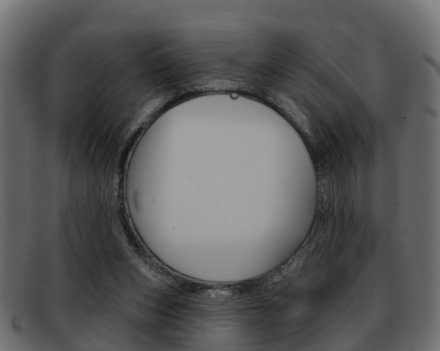 X0000093360159200710111315