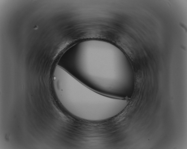 X0000093360160200710111315